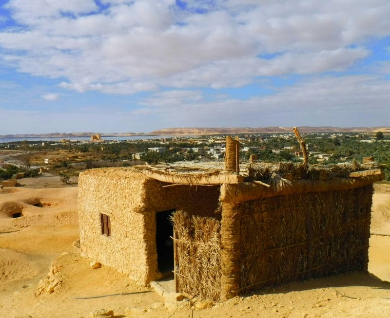 Oasis de Siwa - Paquete estándar