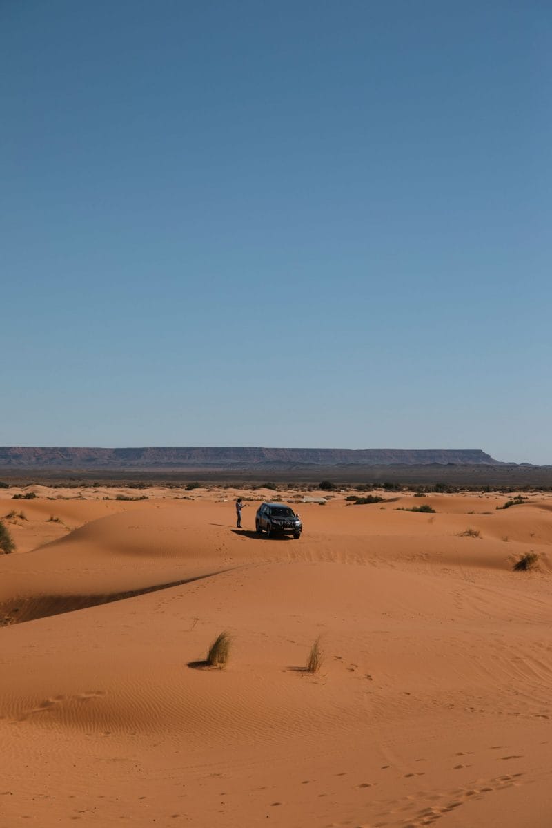 Safari por el desierto