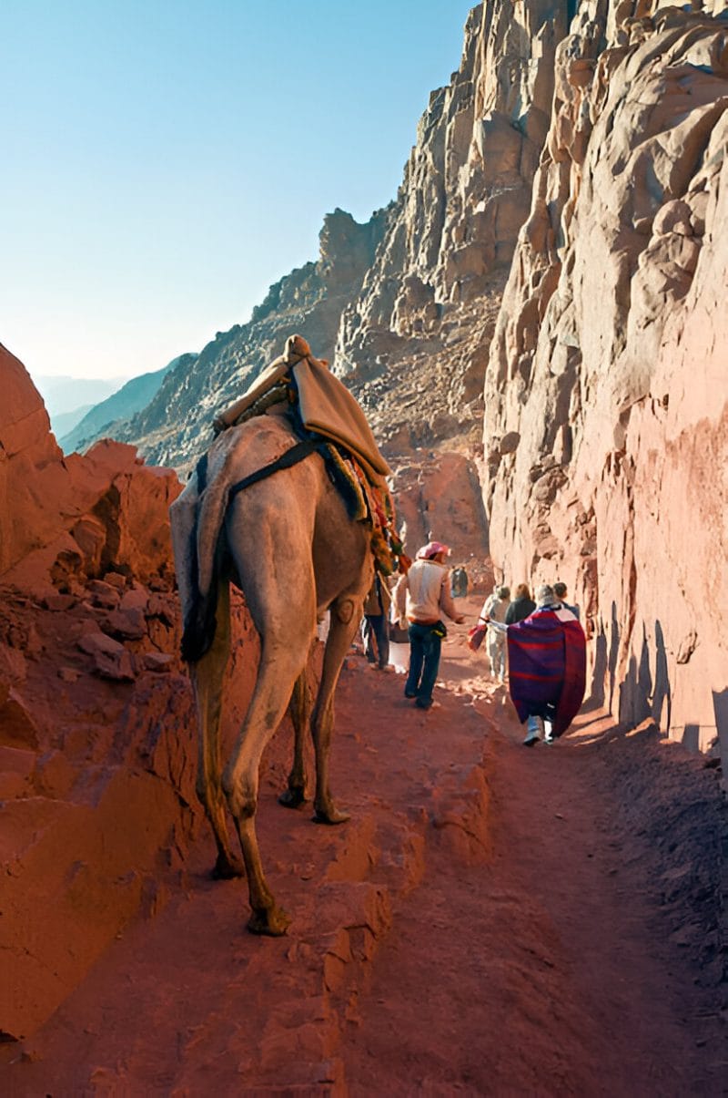 Berg Sinai