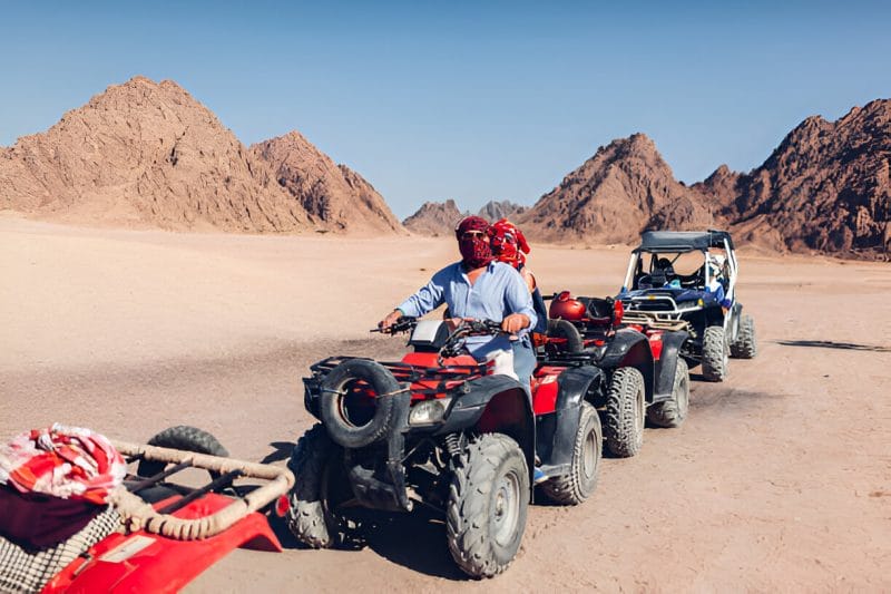 Safari por el desierto