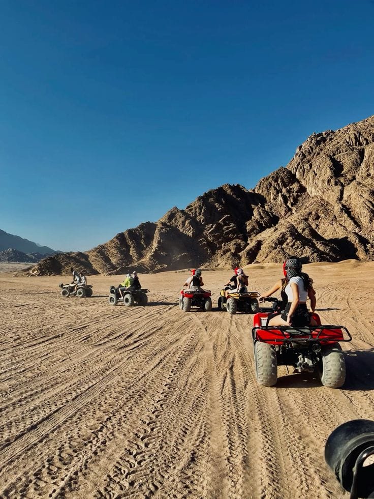 Safari por el desierto